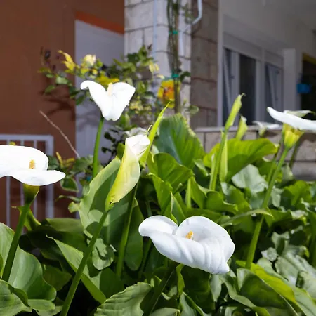 Marija Apartment